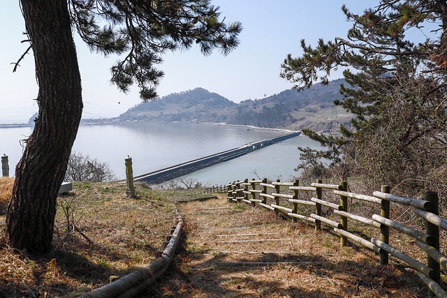 [기자의 노트] 전남 통합국립의대, 미래를 위한 전략적 준비
